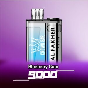 Al Fakher 9000 puffs Bluberry Gum