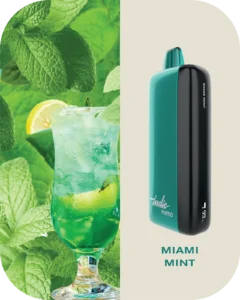 Fummo indic 12000 Puffs Disposable vape 20 miami mint