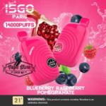 isgo paris 14000 puffs blueberry raspberry pomegranate