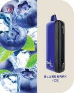 Fummo indic 12000 Puffs Disposable vape 20 blueberry ice
