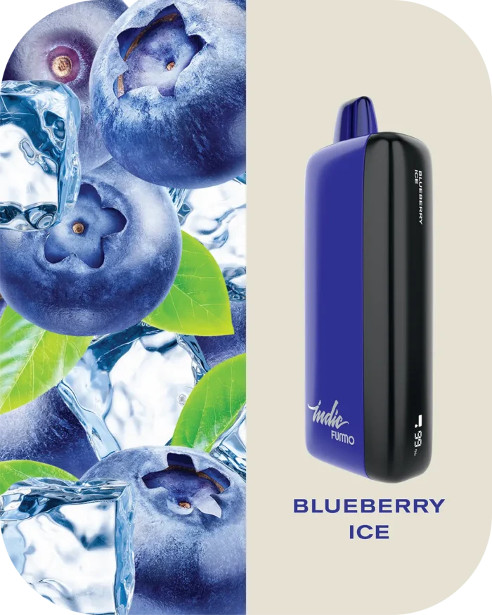 Fummo indic 12000 Puffs Disposable vape 20 blueberry ice