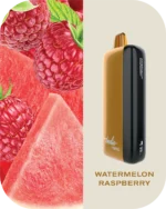 Fummo indic 12000 Puffs Disposable vape 20 watermelon raspberry