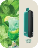 Fummo indic 12000 Puffs Disposable vape 20 miami mint