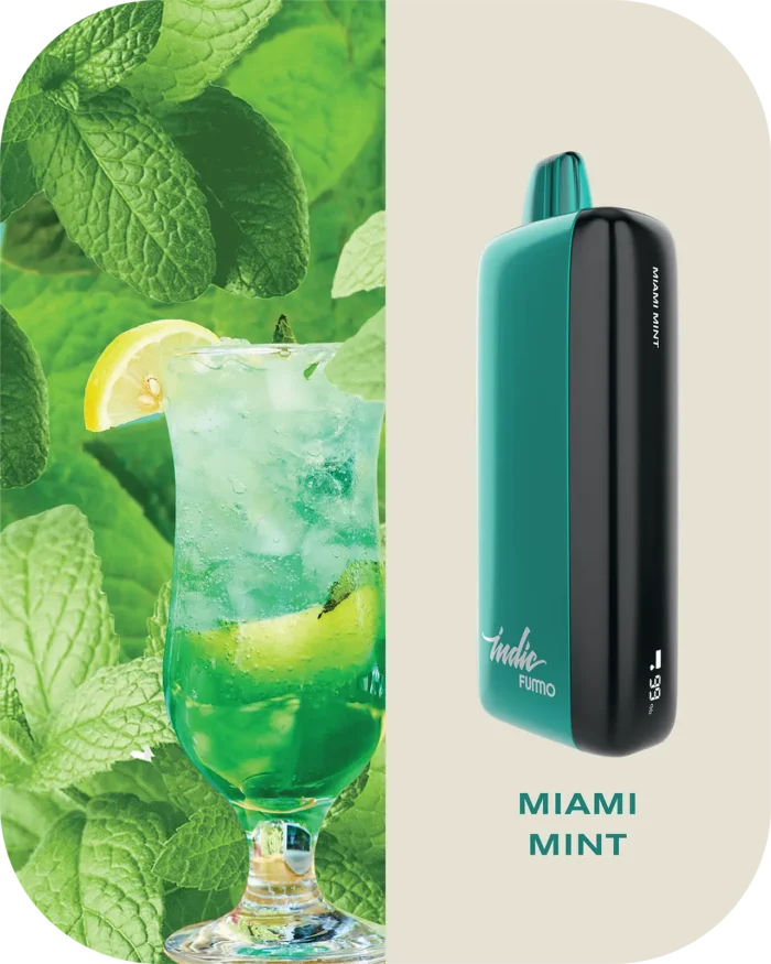 Fummo indic 12000 Puffs Disposable vape 20 miami mint