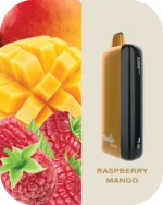 Fummo indic 12000 Puffs Disposable vape 20 raspberry mango