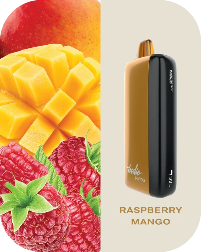Fummo indic 12000 Puffs Disposable vape 20 raspberry mango