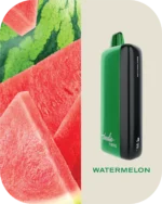 Fummo indic 12000 Puffs Disposable vape 20 watermelon