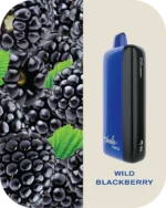 Fummo indic 12000 Puffs Disposable vape 20 wild berries