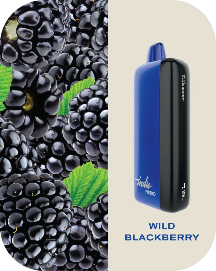 Fummo indic 12000 Puffs Disposable vape 20 wild berries